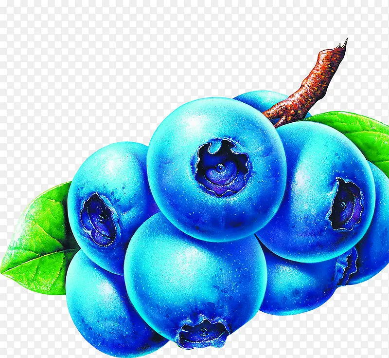 手绘卡通蓝莓水果