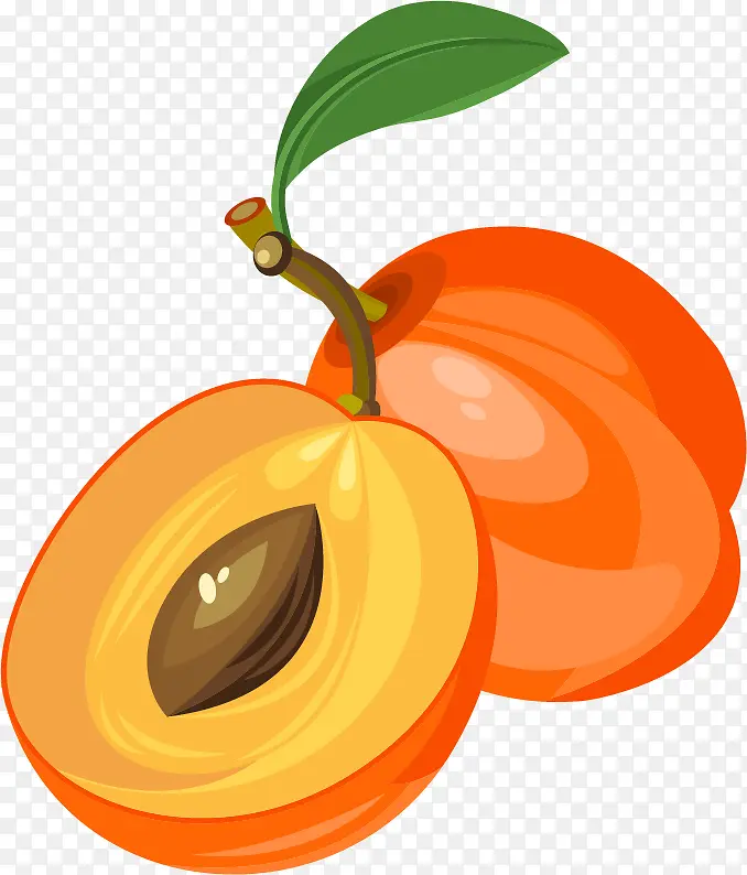 杏水果PNG矢量素材