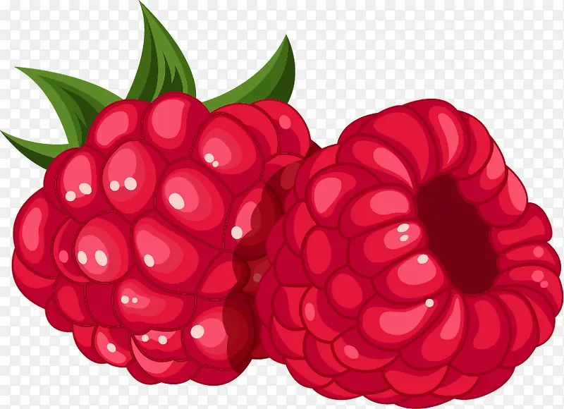 树莓水果PNG矢量素材
