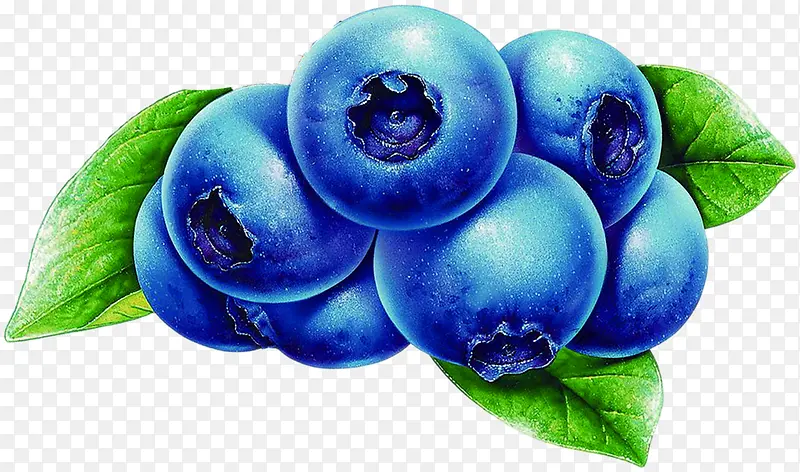 手绘蓝莓手绘水果