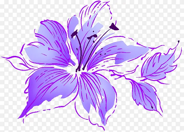 紫色花纹贵宾卡图片