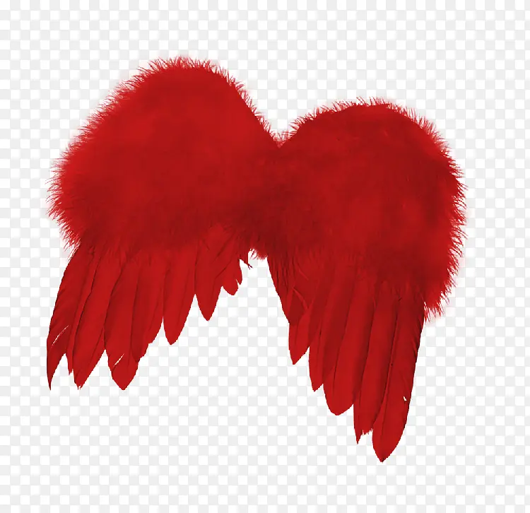 红色羽毛翅膀
