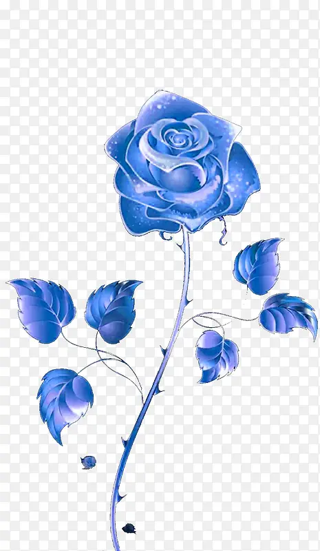蓝色的玫瑰花 浪漫有你