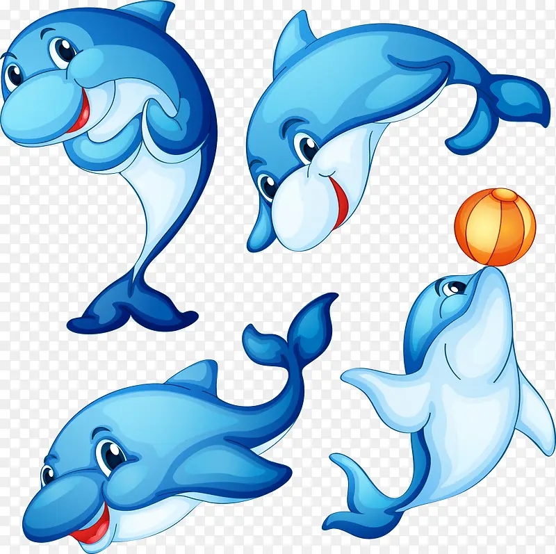 4种海豚表演动作矢量图