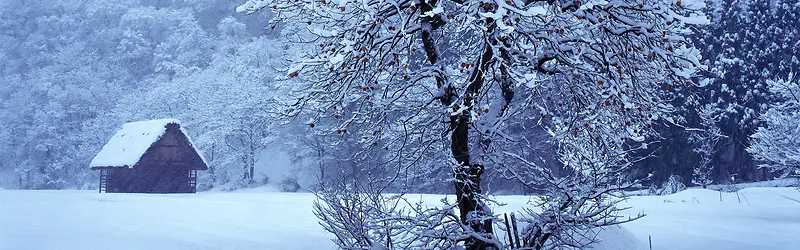 雪景背景图