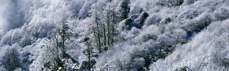 雪景背景素材自然背景素材