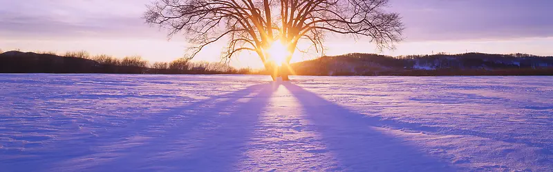 雪景背景