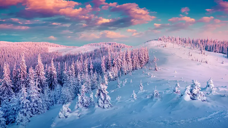 冬日雪景唯美美景
