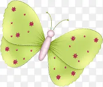 优美设计绿色蝴蝶