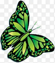 绿色创意设计蝴蝶