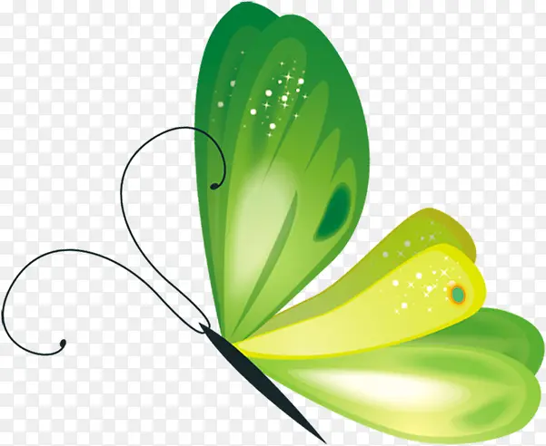 绿色卡通蝴蝶创意星光