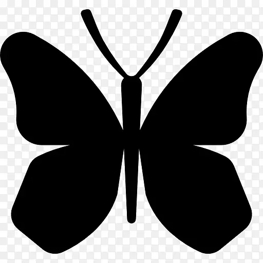 蝴蝶的翅膀图标