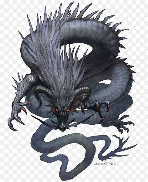 灰色的龙