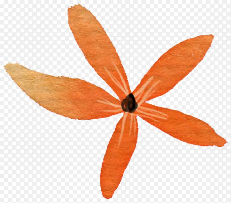 手绘黄橙色花朵装饰
