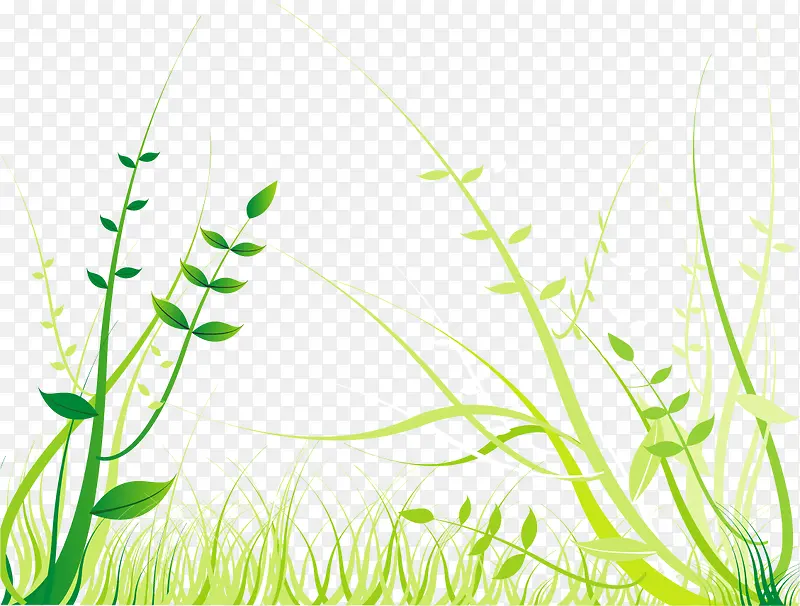绿色天然春天植物