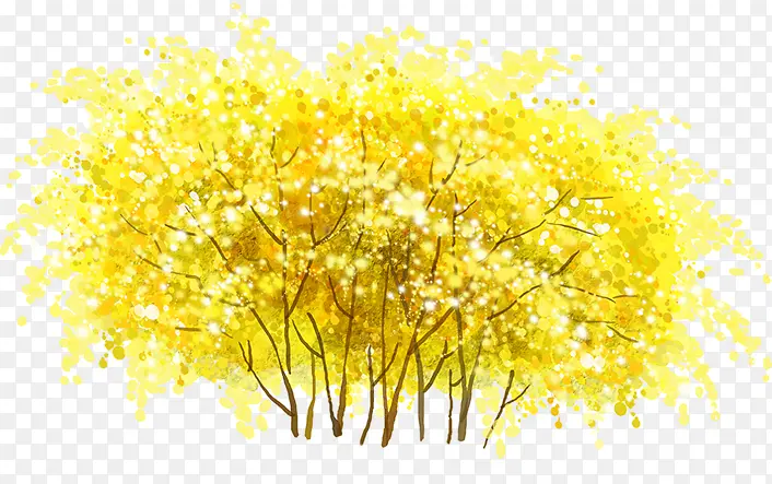 黄色树木春季景观