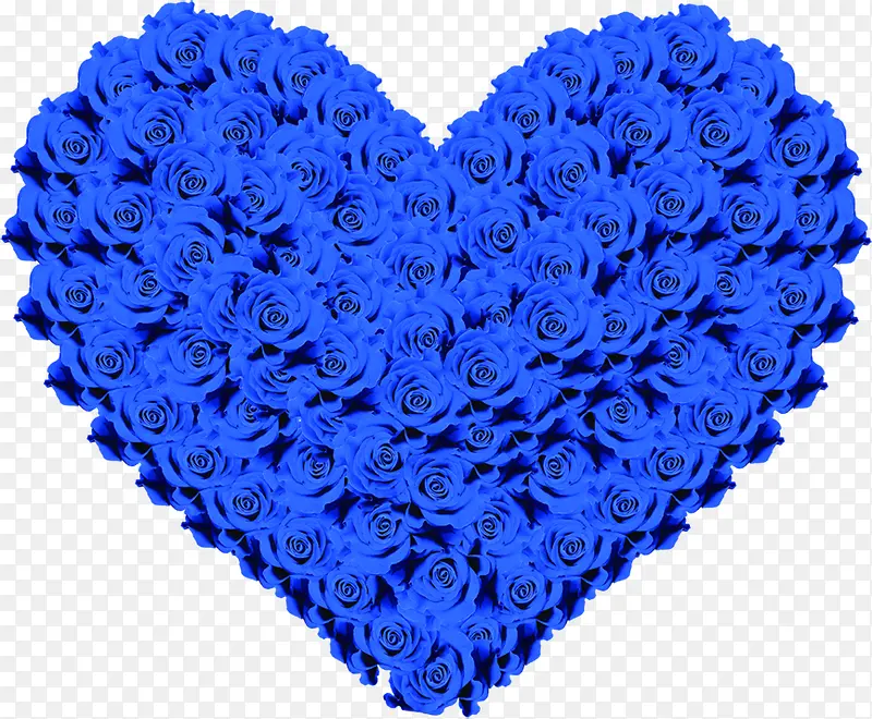 蓝色玫瑰花爱心