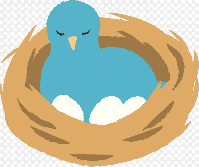 孵鸟蛋的蓝鸟