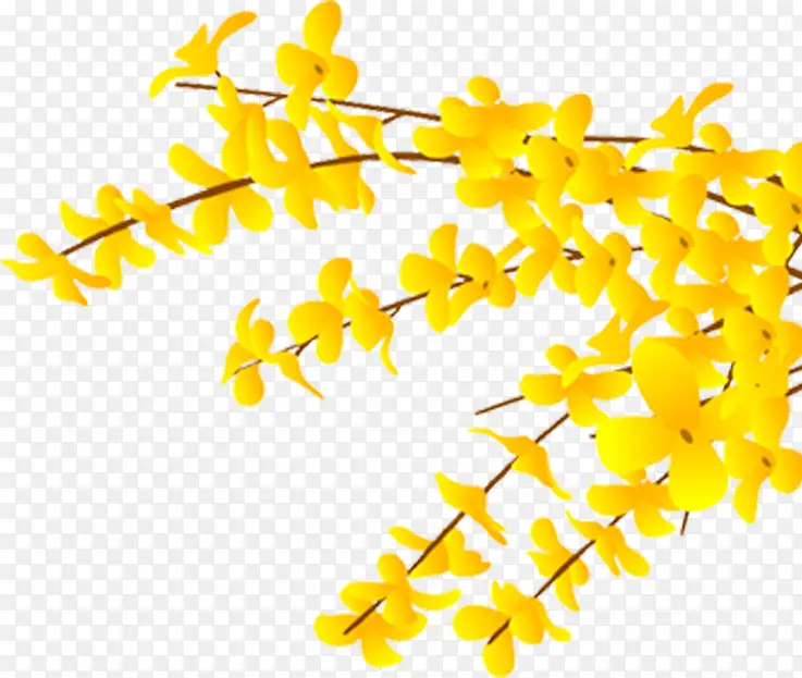 黄色花卉暖冬特惠海报