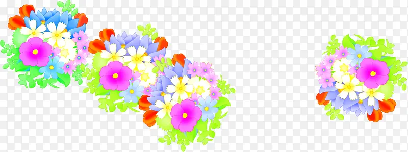 彩色温馨花朵植物