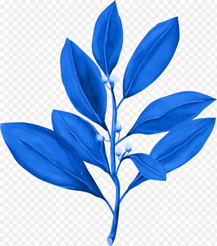 蓝色植物叶子