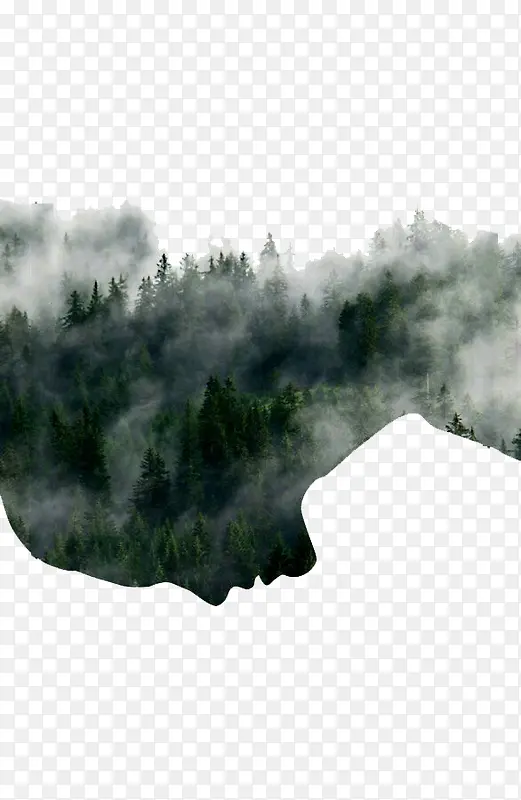 烟雾森林