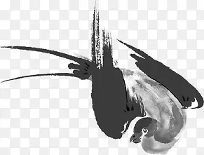 黑色小鸟设计艺术
