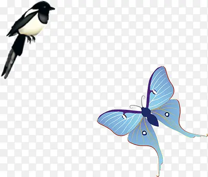 蝴蝶和麻雀