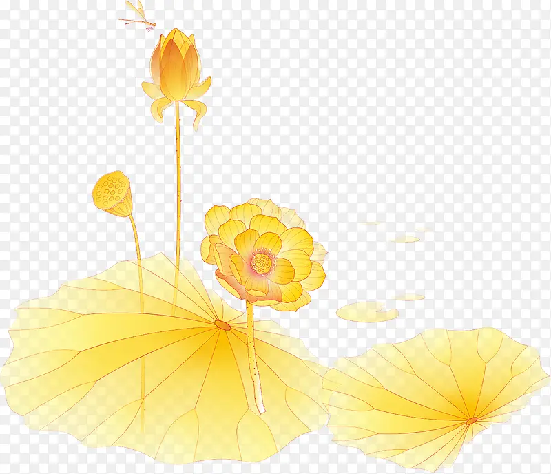黄色莲叶荷花装饰