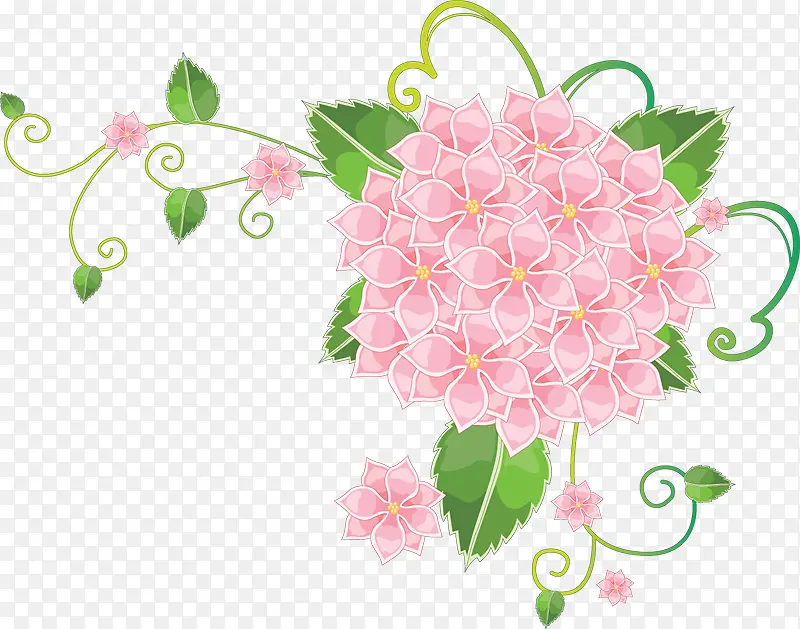 粉色的花朵聚集