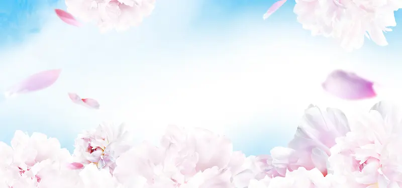 粉色花朵的电商海报