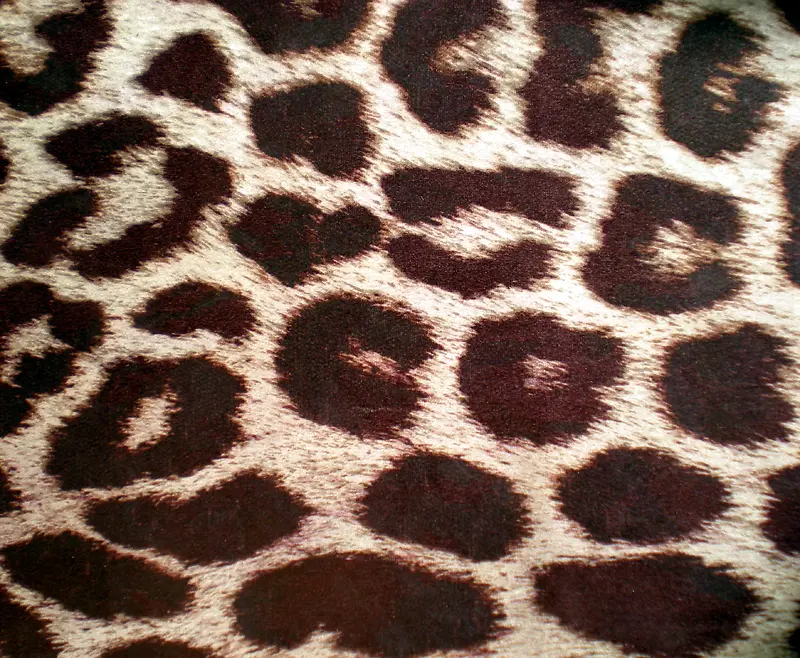 豹纹布料背景