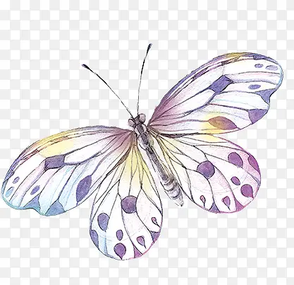 水墨紫色的蝴蝶