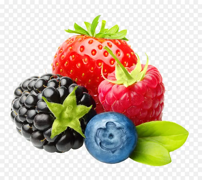 植物海报夏天水果蓝莓