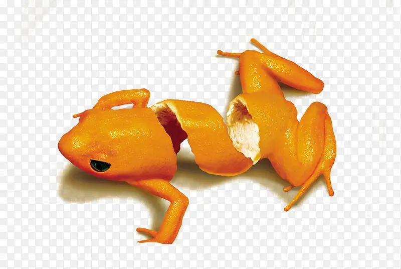 创意橘子青蛙