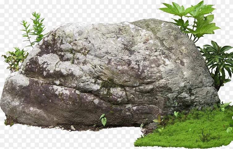奇石绿植