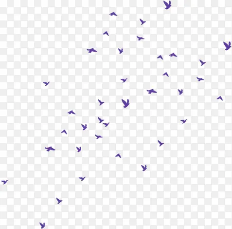飘舞紫色小鸟