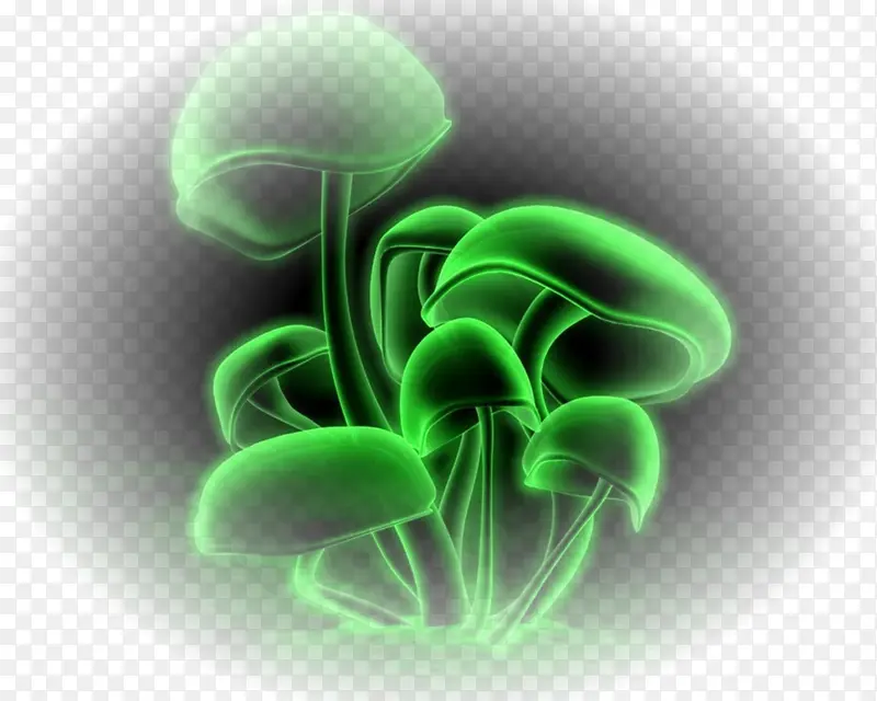 绿色水母