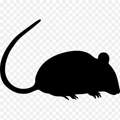 大鼠的轮廓图标