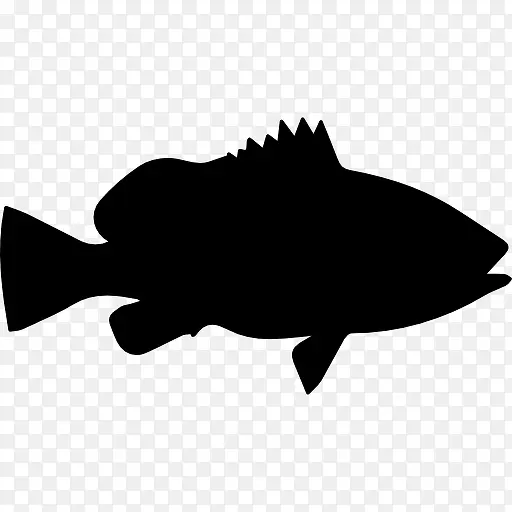 拿骚石斑鱼形图标