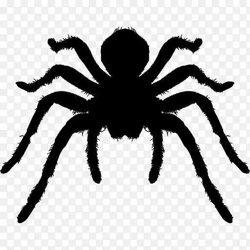蜘蛛节肢动物的轮廓图标