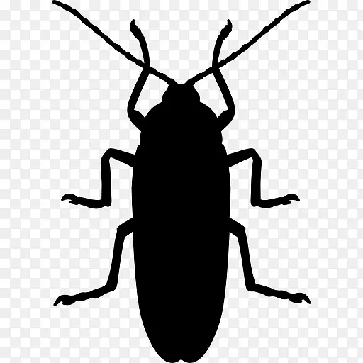 蟑螂的剪影图标