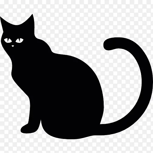 猫黑图标