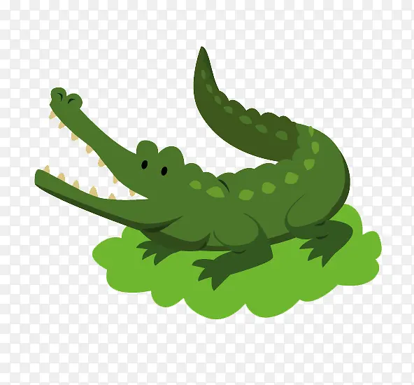 绿皮鳄鱼