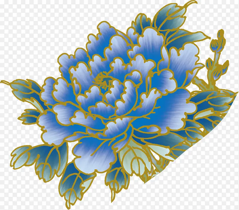 花  牡丹花 蓝色的花
