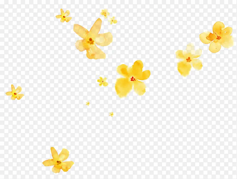 黄色花卉插画设计