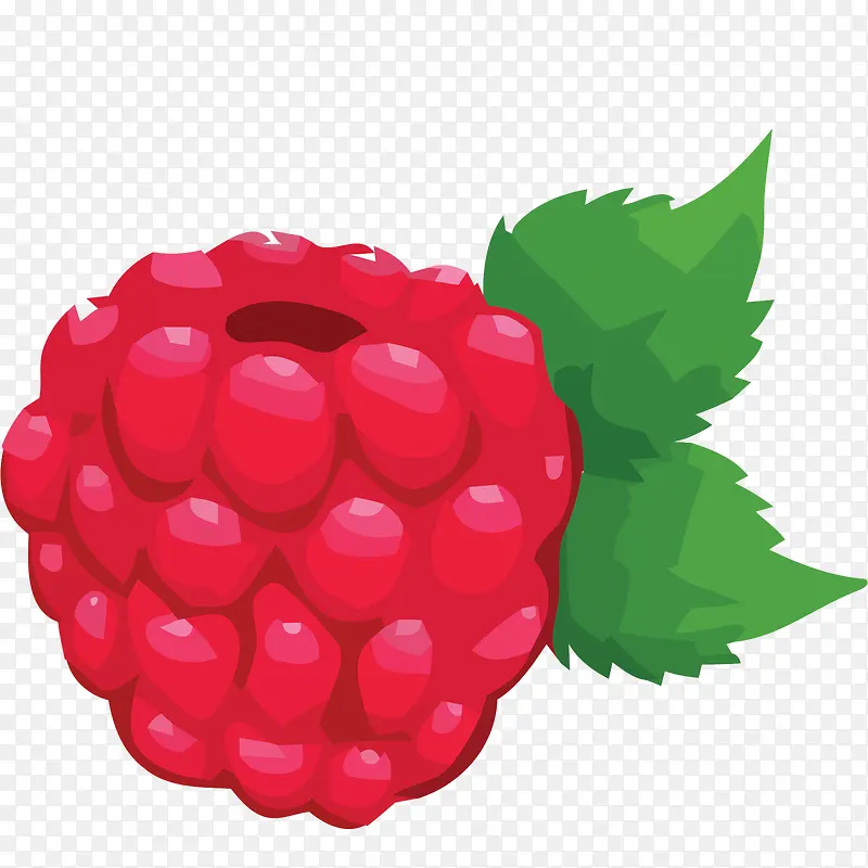 矢量一颗树莓素材