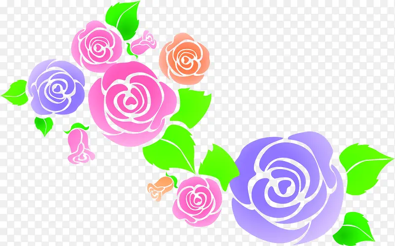 玫瑰花画册设计图片