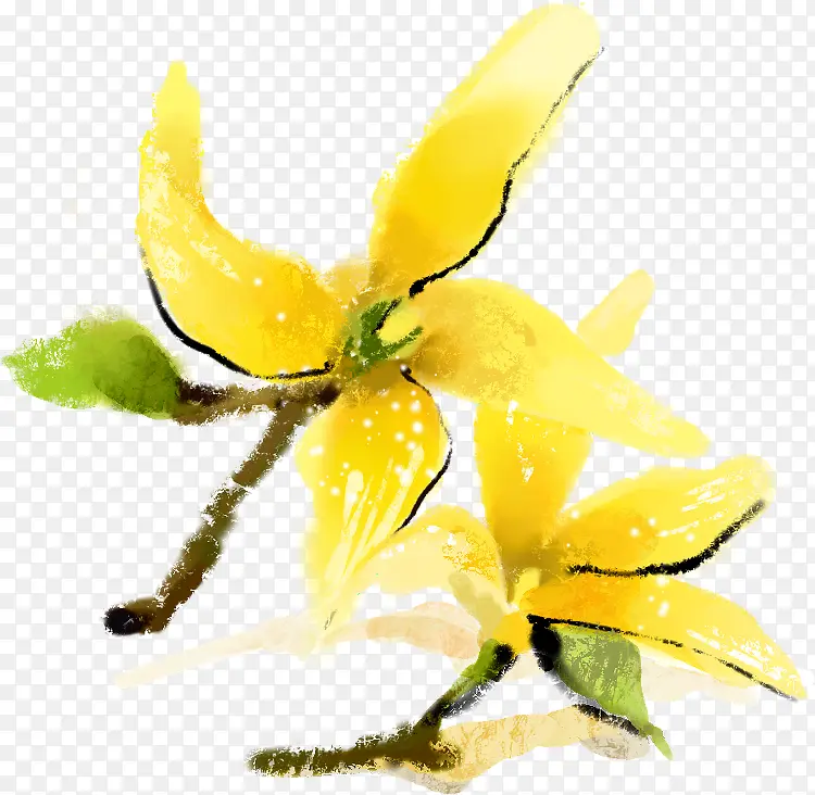 手绘黄色花卉春季展示