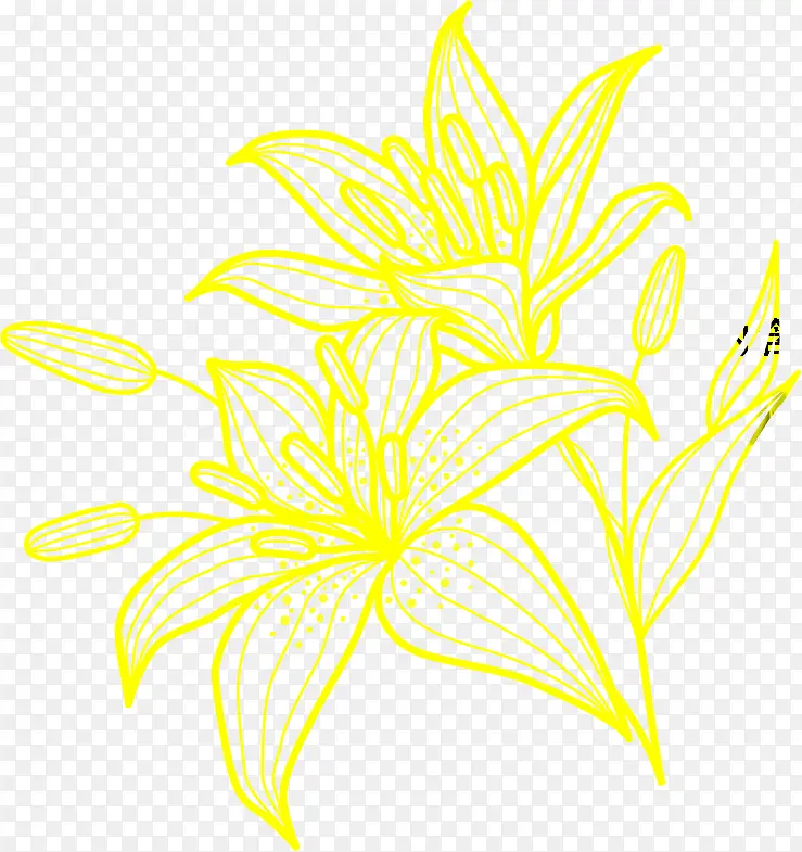 黄色高清创意花卉图案